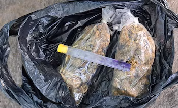 Lors de l'arrestation à Sonsonate, la Police Nationale Civile a confisqué de la marijuana, un téléphone portable, de l'argent liquide et la moto du détenu. (Autorisation : Police nationale civile)