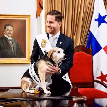 Tina est l'animal de compagnie du maire du Panama, Mayer Mizrachi. (Instagram/tinaquera)
