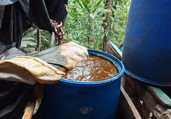 La découverte à Tela ouvre la voie à des investigations sur l'existence possible de nouvelles zones de production illicite à Atlantida. (PHOTO : Police nationale)