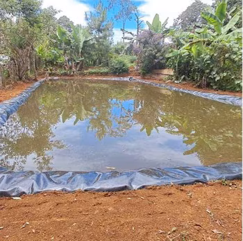 Des études techniques identifient quelque 2 000 sites pour installer des ouvrages de collecte d'eau au Honduras.