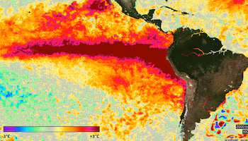 El Niño pourrait atteindre une très forte intensité jusqu'en février (NASA)