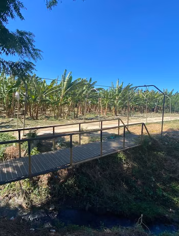 Les inspections officielles des 15 et 16 octobre ont porté sur les champs de Hato Mayor, El Seibo, Montecristi, Dajabón, Barahona et San Juan de la Maguana. (Photo fournie par la Direction générale des migrations)