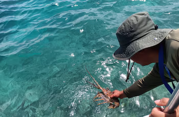 L'équipe de surveillance et de patrouille a également conservé une ancre métallique fabriquée à la main et deux collets utilisés pour capturer les homards. (MonAmbiente)