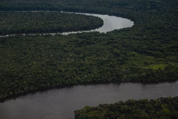 L'organisation Derecho Vivo a déposé un recours en annulation devant le Conseil d'État contre la révocation de la réserve environnementale en Amazonie - crédit Ministère de l'Environnement